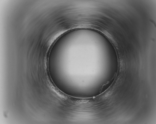 X0000102300846200808011538