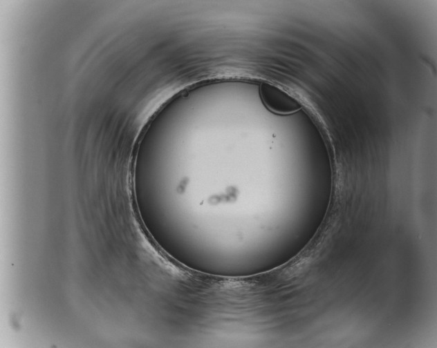 X0000102300847200808011538