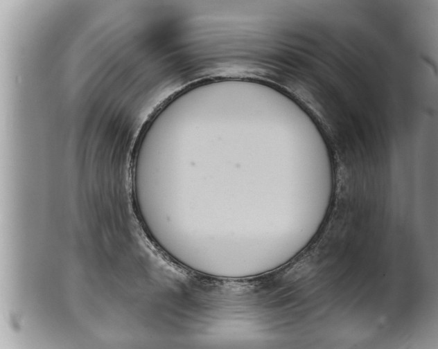 X0000102300848200808011538