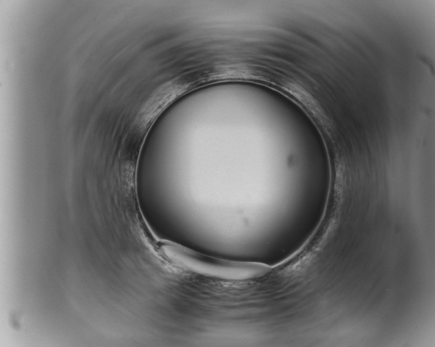 X0000102300849200808011538