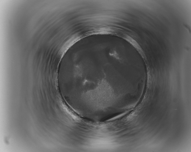 X0000102300850200808011538