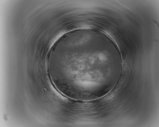 X0000102300851200808011538