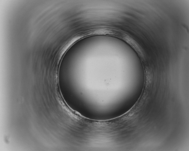 X0000102300852200808011538