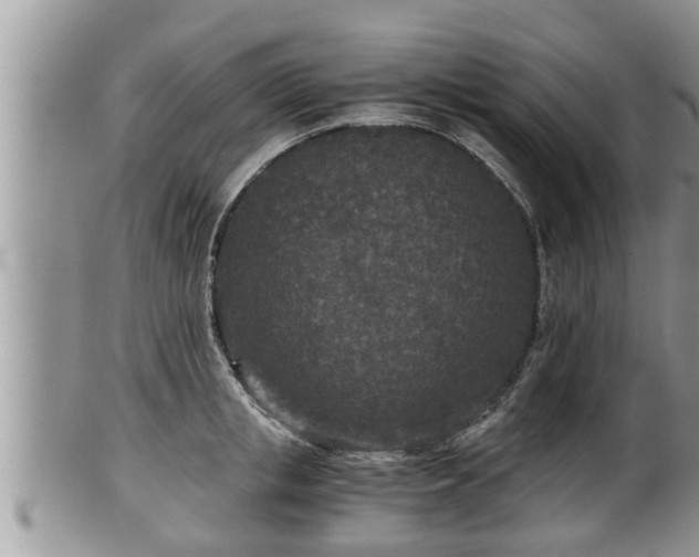 X0000102300853200808011538