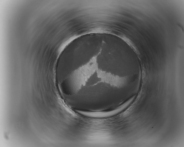 X0000102300854200808011538