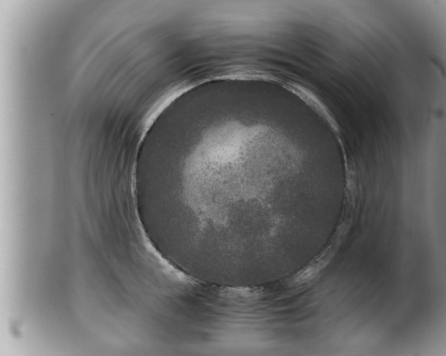 X0000102300855200808011538