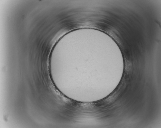 X0000102300856200808011538