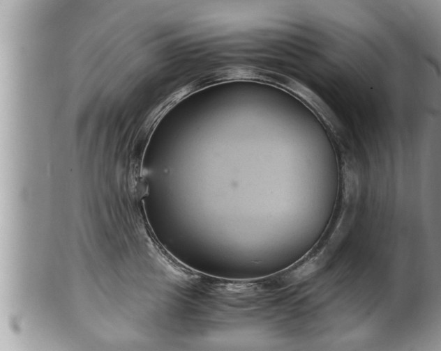 X0000102300857200808011538