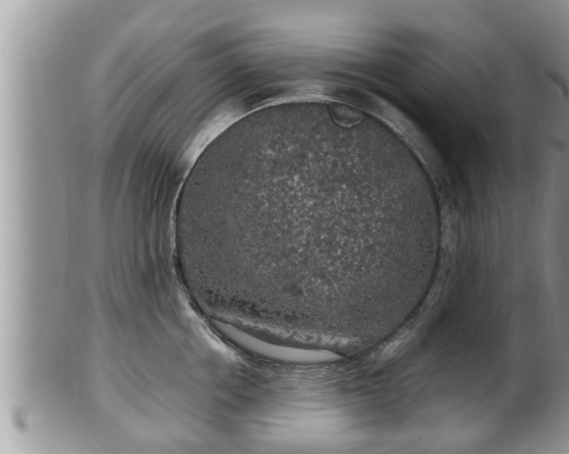 X0000102300858200808011538