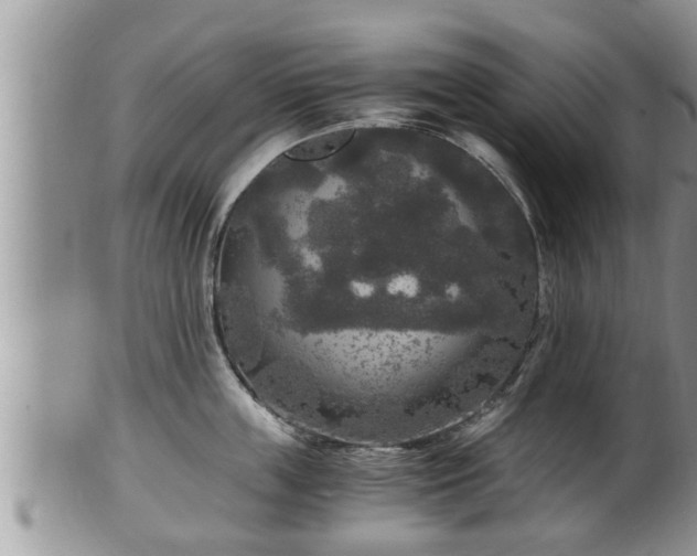 X0000102300859200808011538