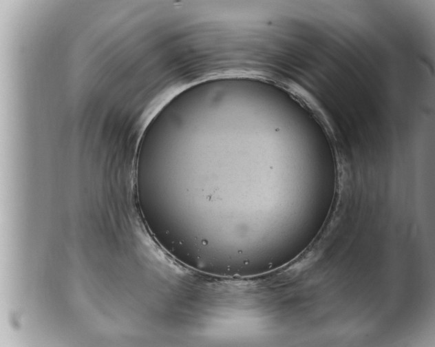 X0000102300860200808011538