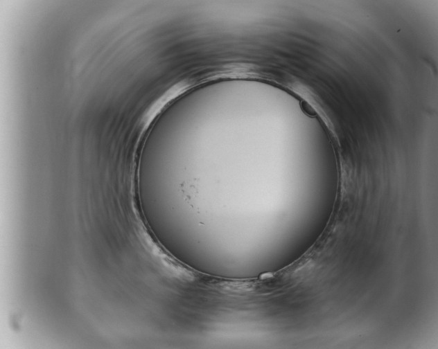 X0000102300861200808011538