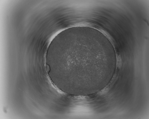 X0000102300862200808011538