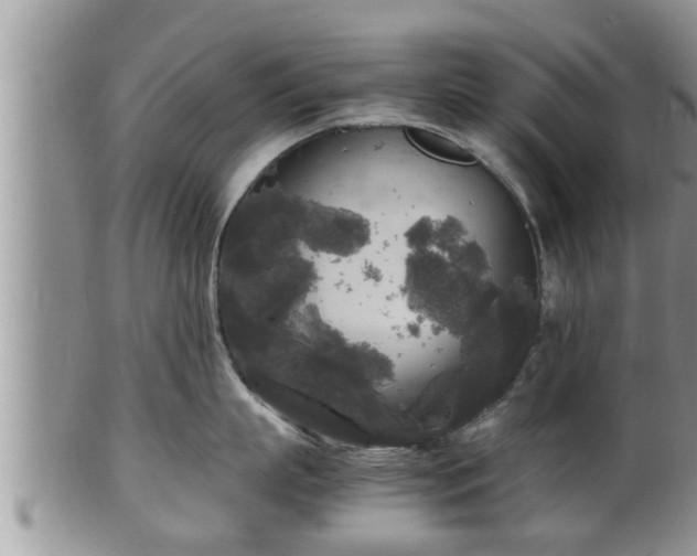 X0000102300863200808011538