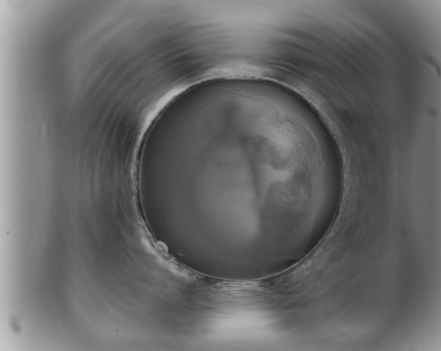 X0000102300864200808011538