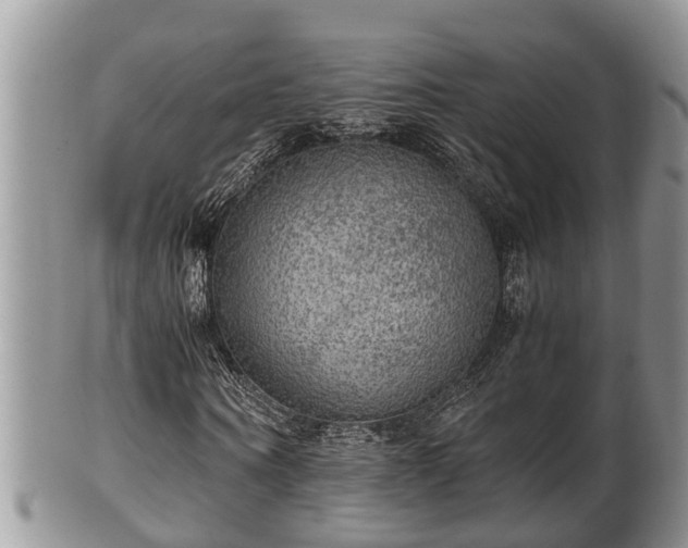 X0000102300866200808011537