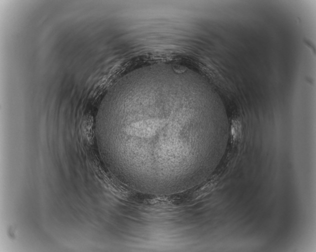 X0000102300867200808011537