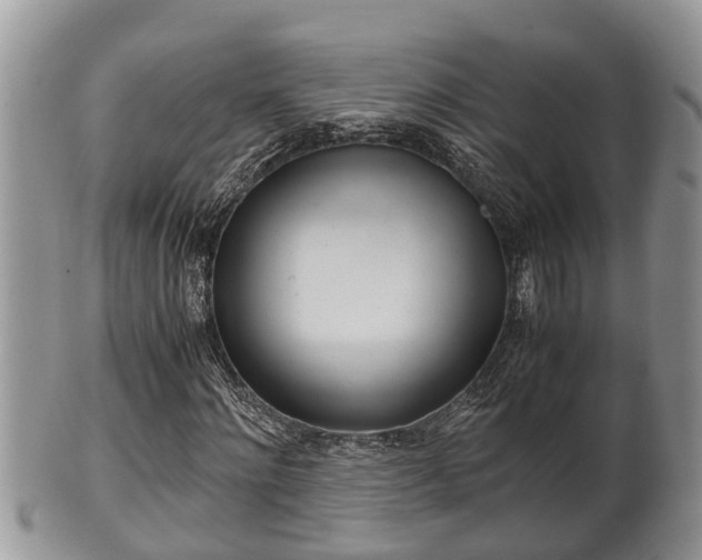 X0000102300868200808011537