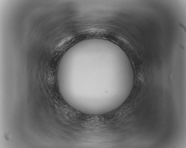 X0000102300869200808011537