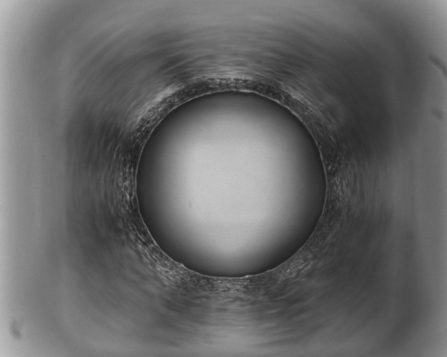 X0000102300870200808011537