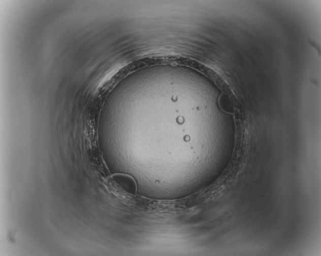 X0000102300871200808011537