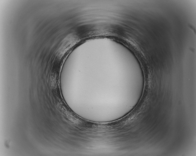 X0000102300873200808011537