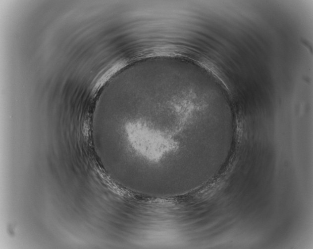 X0000102300874200808011537