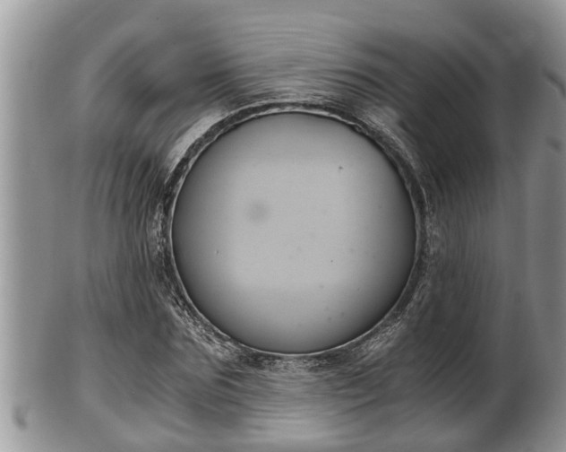 X0000102300875200808011537