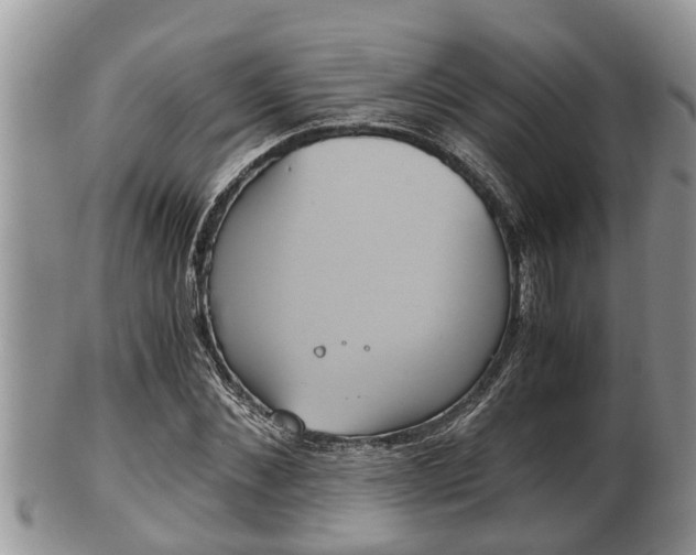 X0000102300876200808011537