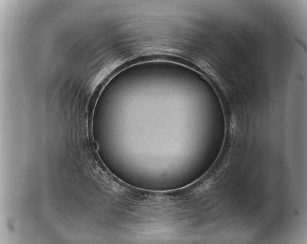 X0000102300877200808011537