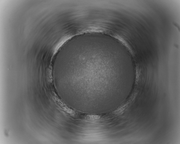 X0000102300878200808011537