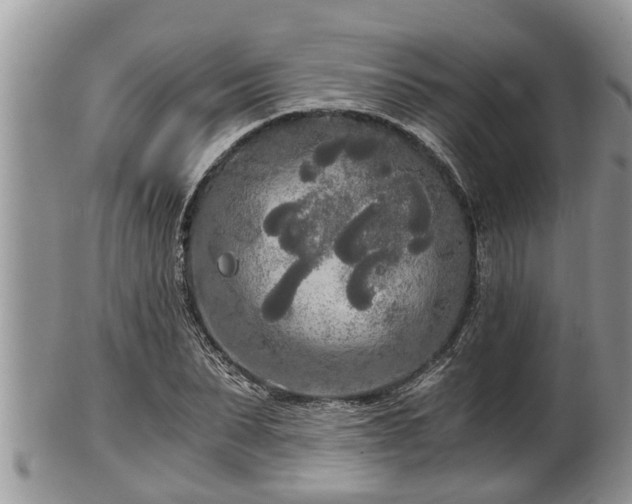 X0000102300879200808011537