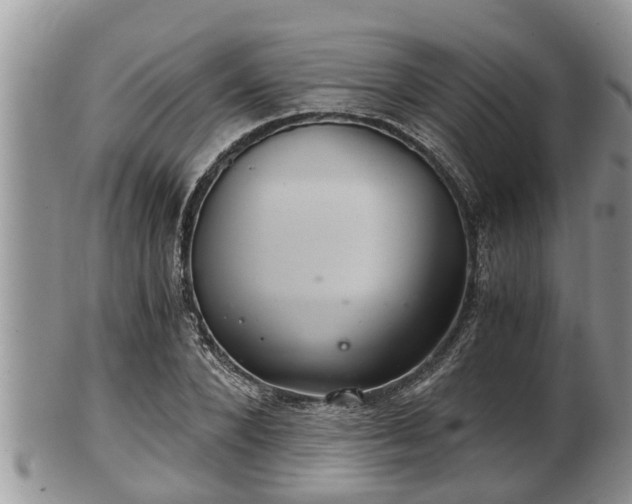 X0000102300880200808011537