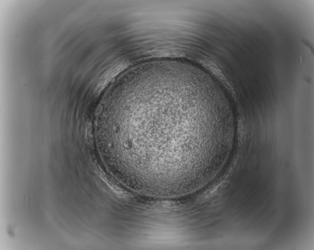 X0000102300881200808011537