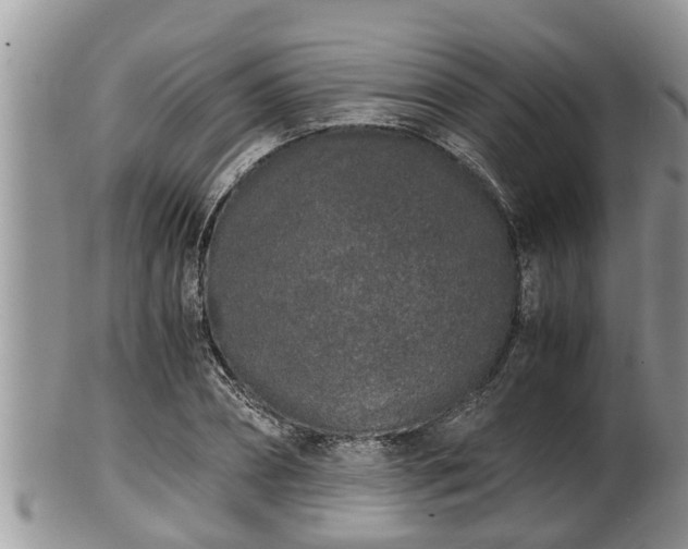 X0000102300882200808011537