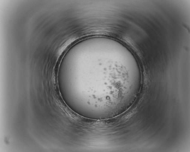 X0000102300883200808011537