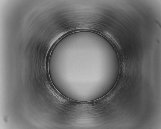 X0000102300884200808011537