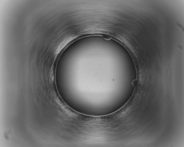 X0000102300885200808011537