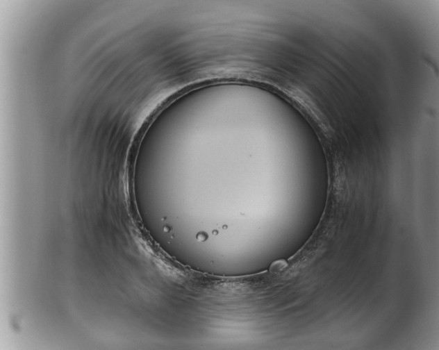 X0000102300888200808011537