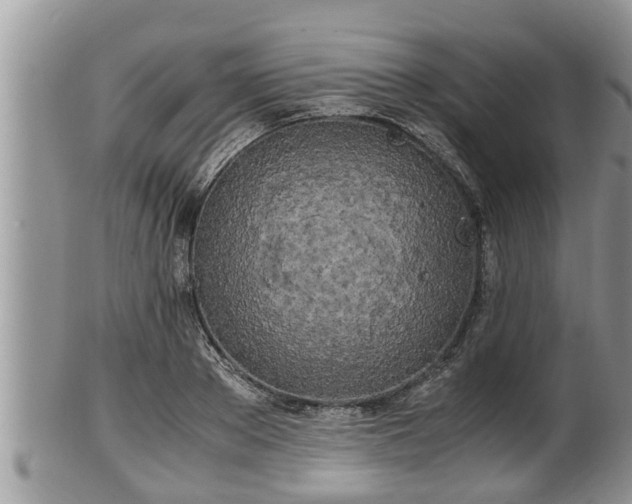 X0000102300889200808011537