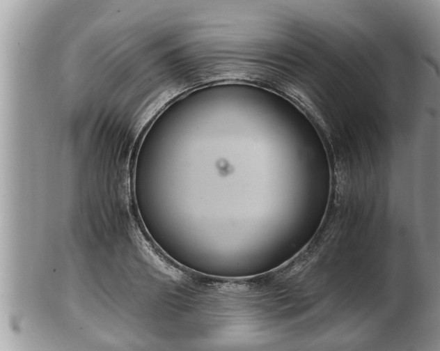 X0000102300890200808011537