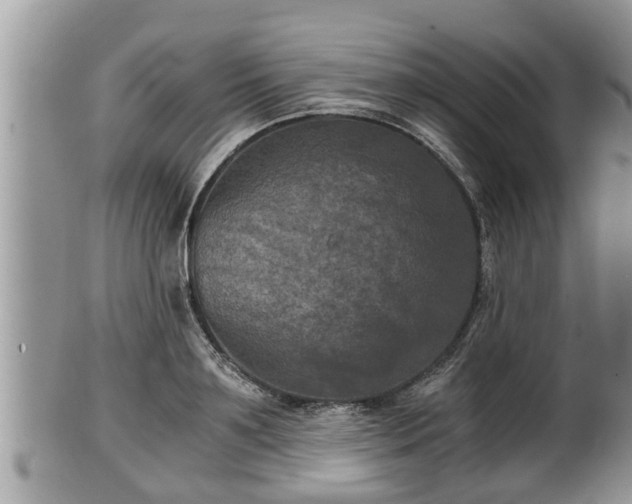 X0000102300891200808011537