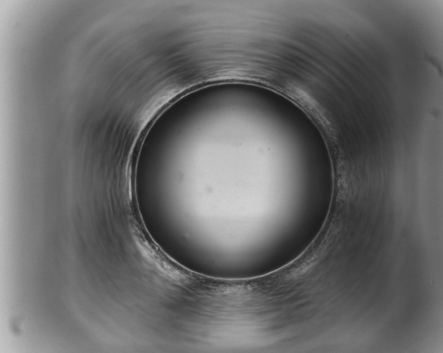 X0000102300892200808011537