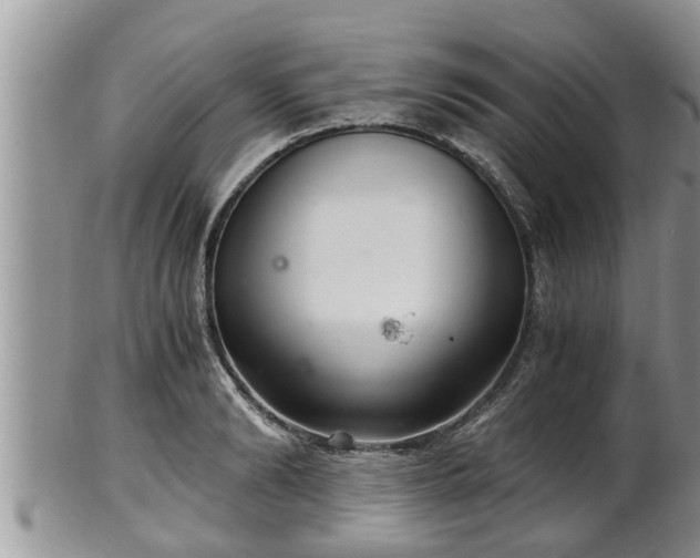 X0000102300894200808011537