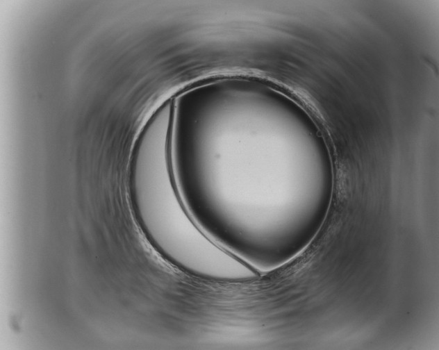 X0000102300895200808011537