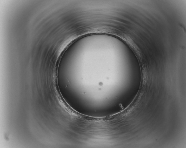 X0000102300896200808011537