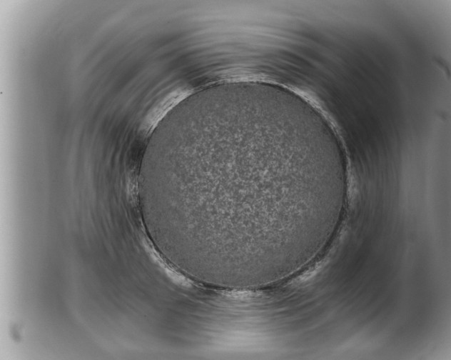 X0000102300897200808011537