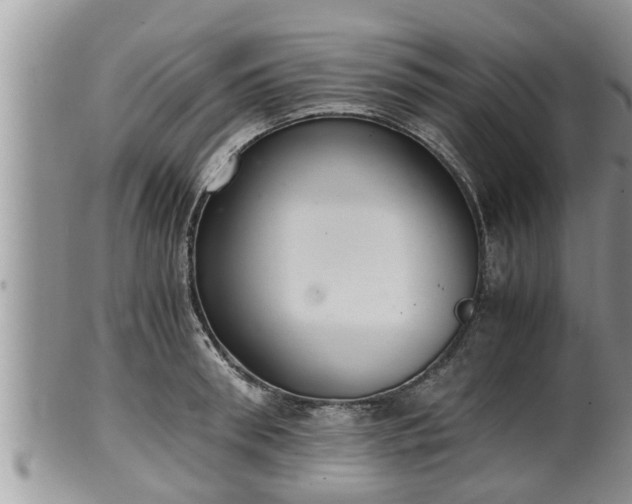 X0000102300898200808011537