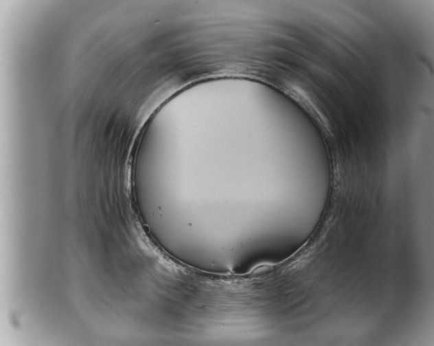 X0000102300900200808011537