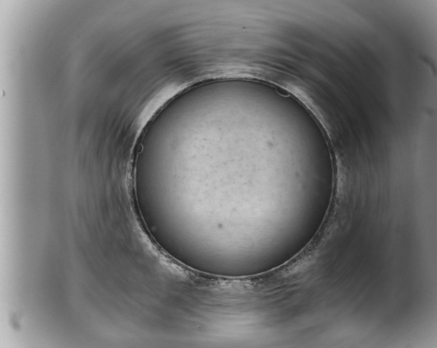 X0000102300901200808011537